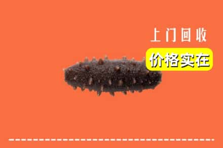 平阴县回收海参