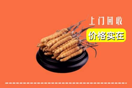 平阴县回收冬虫夏草