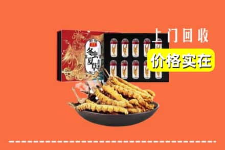平阴县回收虫草